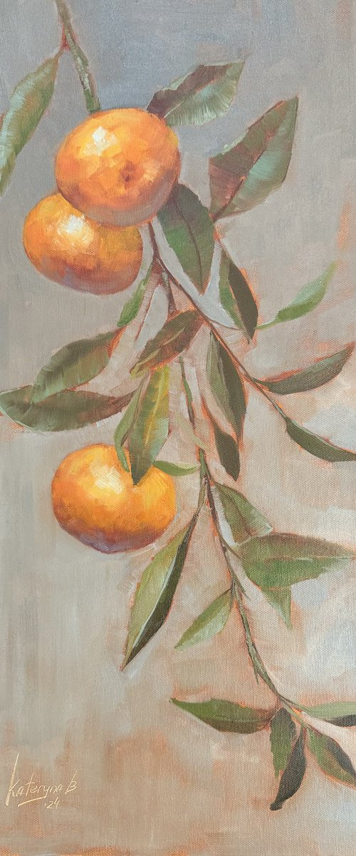 Sweet mandarins by Kateryna Boykov