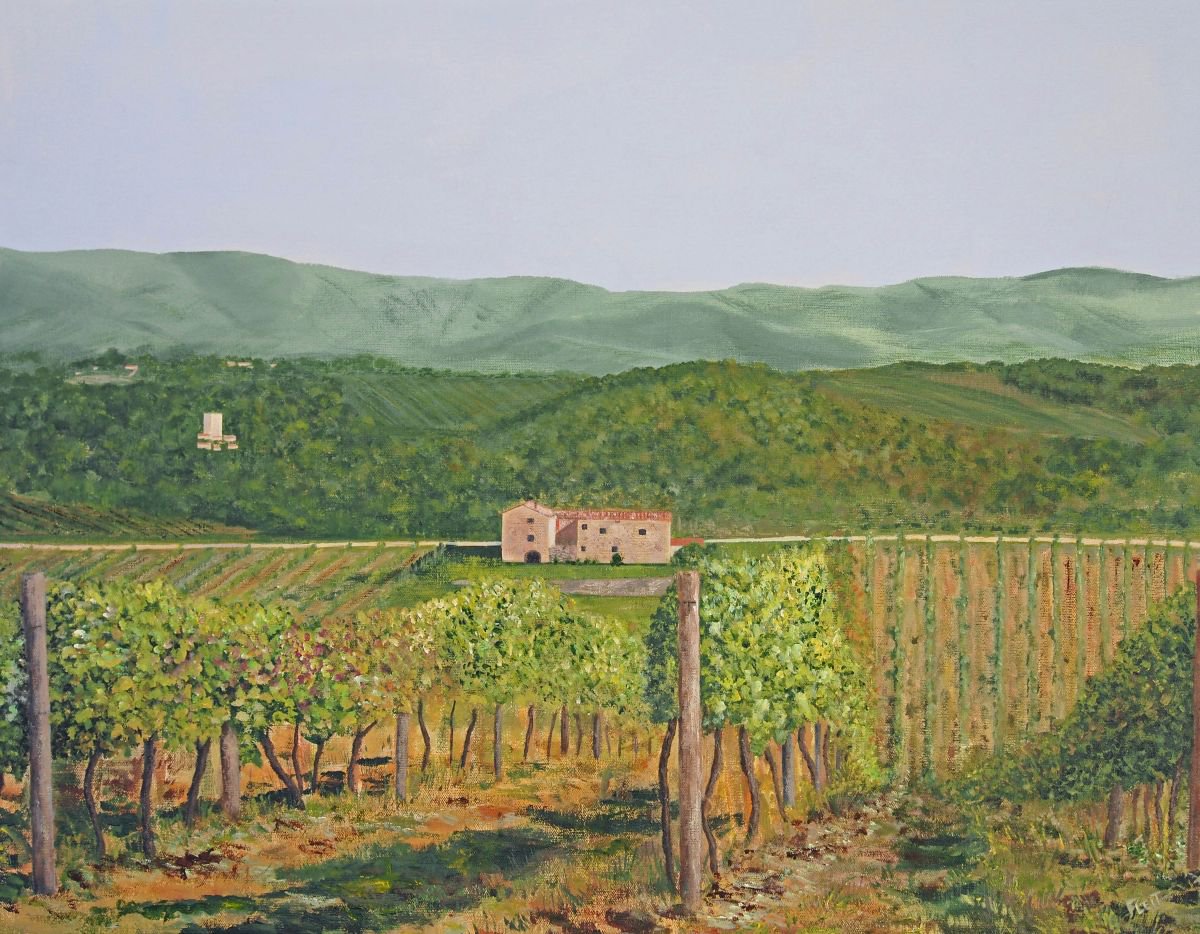 San Sano Vineyard By Steven Fleit, 28 X 22, Artwork For Sale On Artfinder