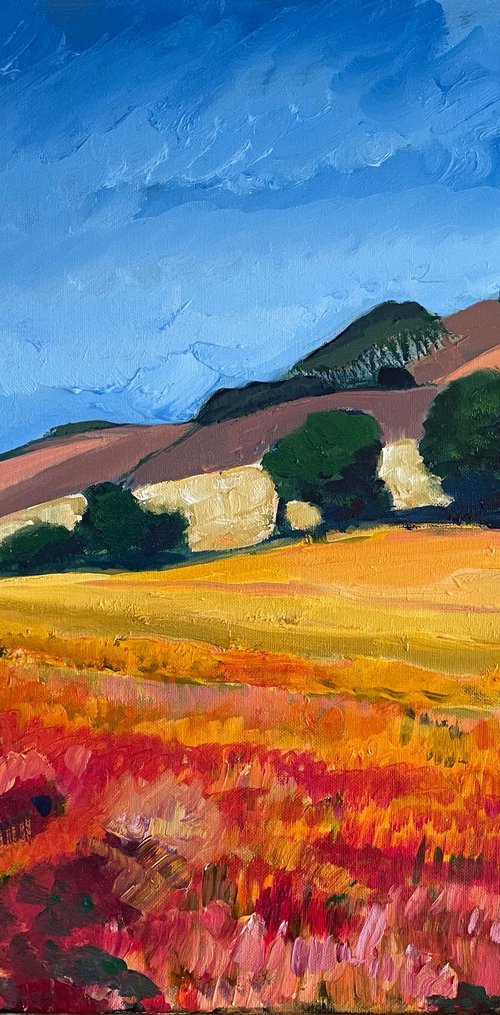 'Hillside in Sunshine, Fife' by Stephen Howard Harrison