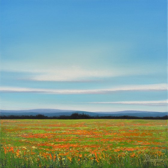 Flower Field - Blue Sky Landscape