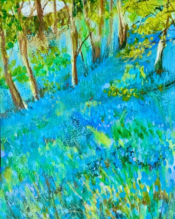 Bluebell Woods