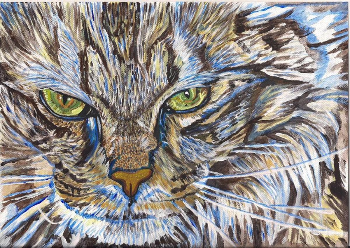 Cat Eyes Acrylic painting by Nicky Campbell Artfinder