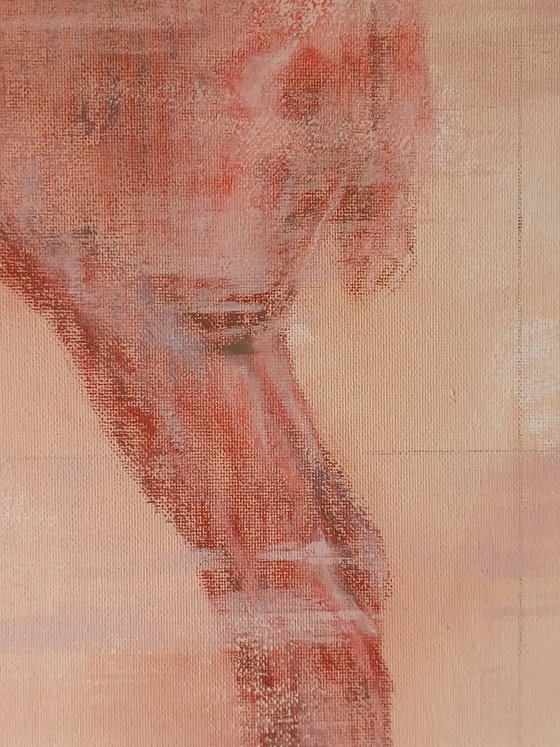 Percheron Stallion Study