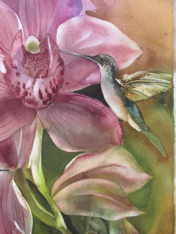 orchid with humming bird