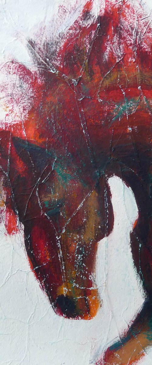 Fire Horse  on White by Tatyana Kaganets