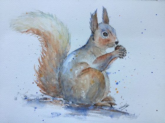 Squirrel