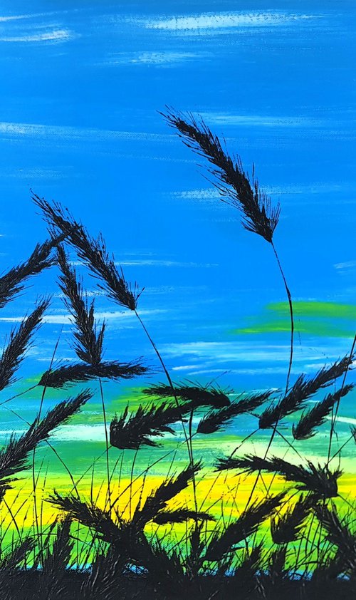 Sunrise in the grass by Daniel Urbaník