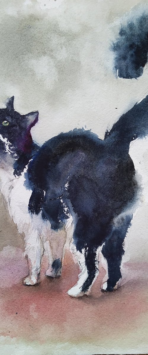 Cat sketch №1 by Irina Bibik-Chkolian