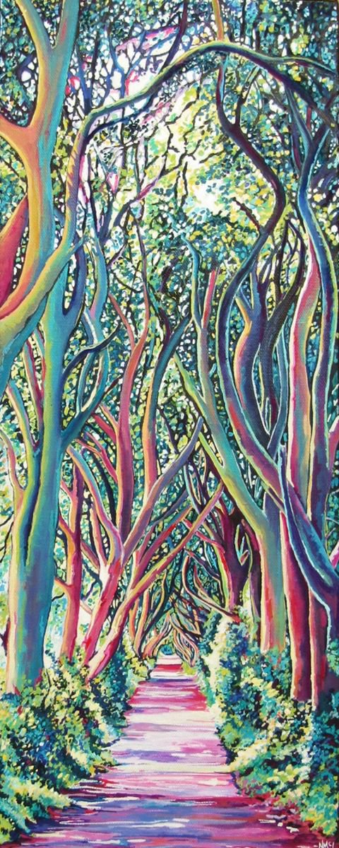 The Dark Hedges by Nicola McLean