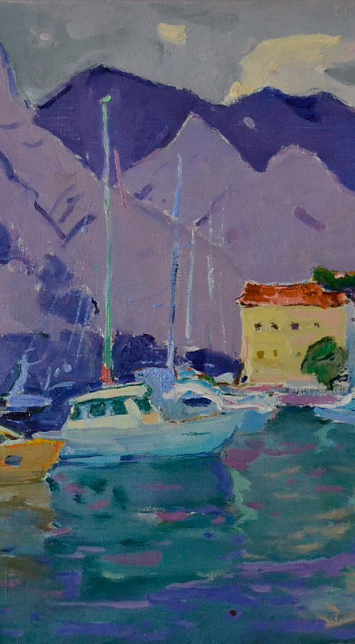 Bay of Kotor by Alexander Shandor