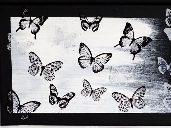 B &W butterfly life