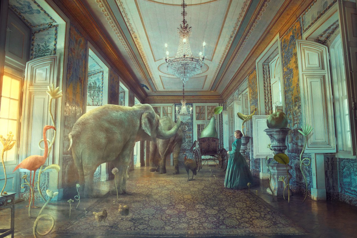 Surrealistic Animal Photograph By Nikolina Petolas, 26 X 17", Bedtime Stories, Original Artwork