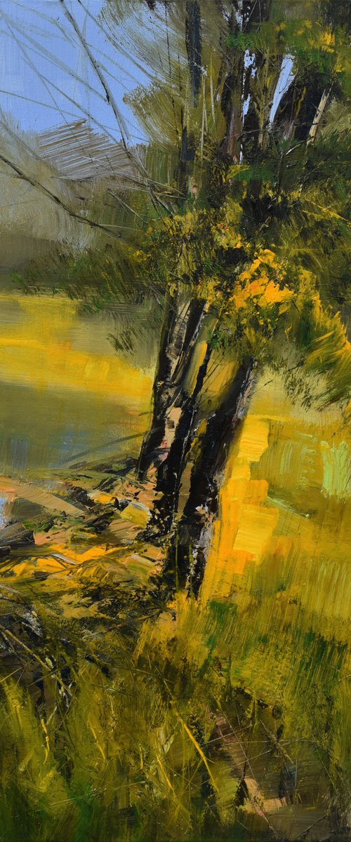 " Soft Breeze On A Summer's Day " by Ivan  Grozdanovski