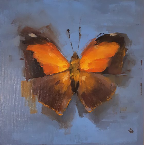 Butterfly (Historis o.)