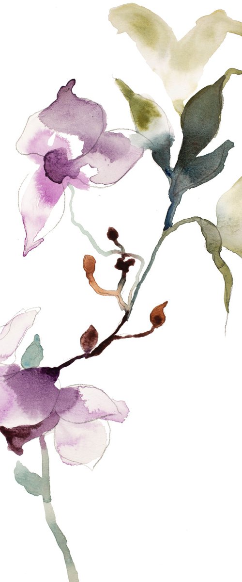 Orchid No. 7 by Elizabeth Becker