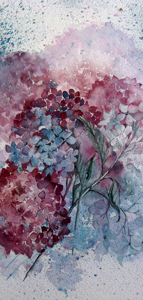 Hydrangeas- An Autumn celebration! by Diana Dabinett