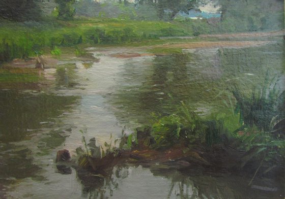 After the rain