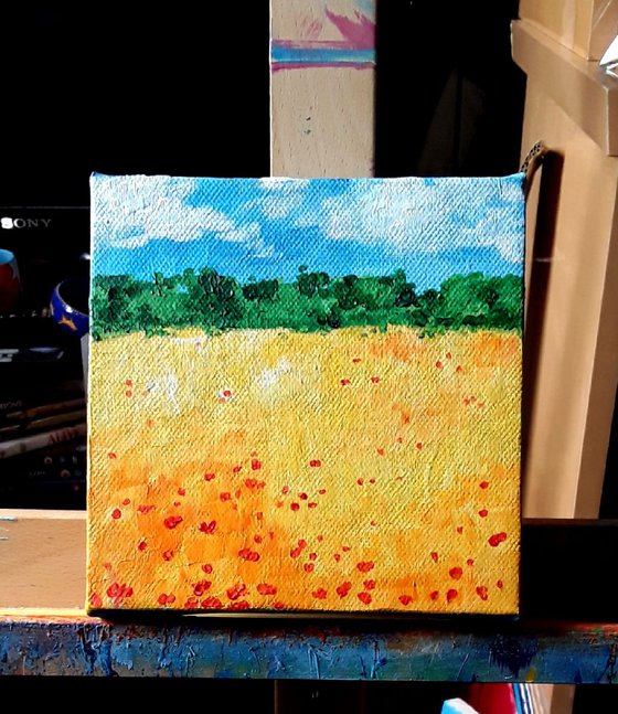 Poppies in the wheat