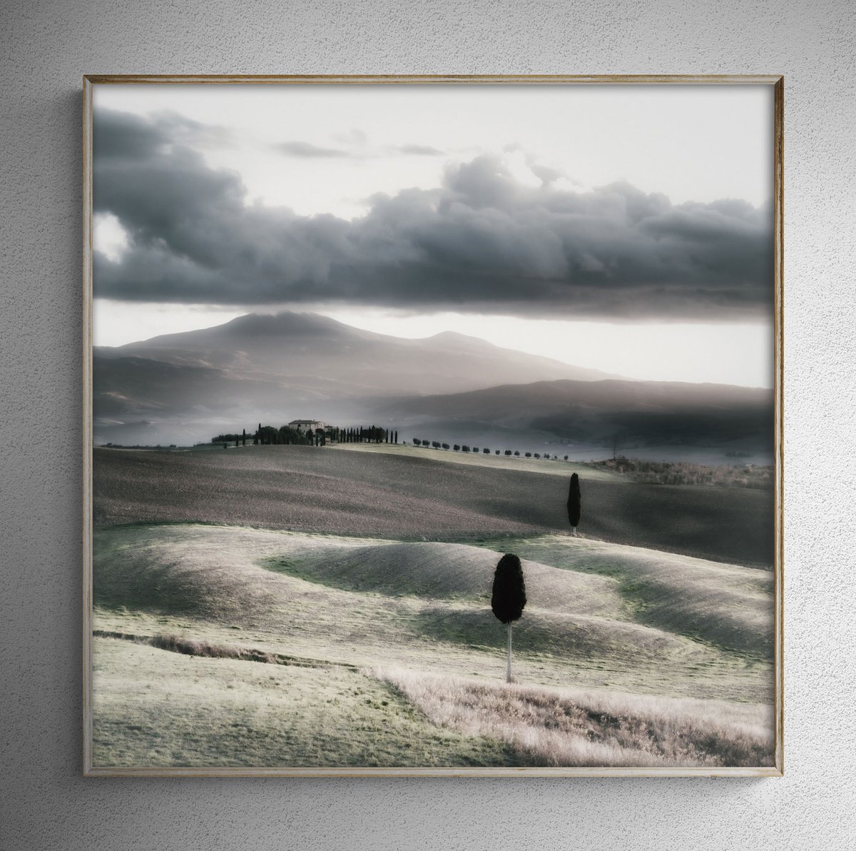 Impressionistic Landscape Photograph By Karim Carella, 35 X 35", Two Cypresses And A Rural..., Original Artwork