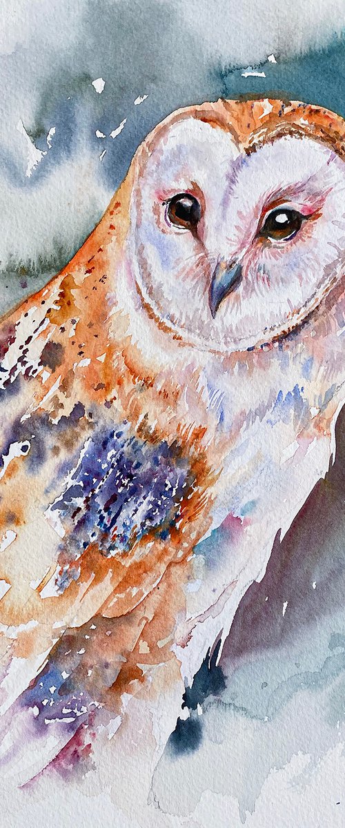 Barn Owl Beeley by Arti Chauhan