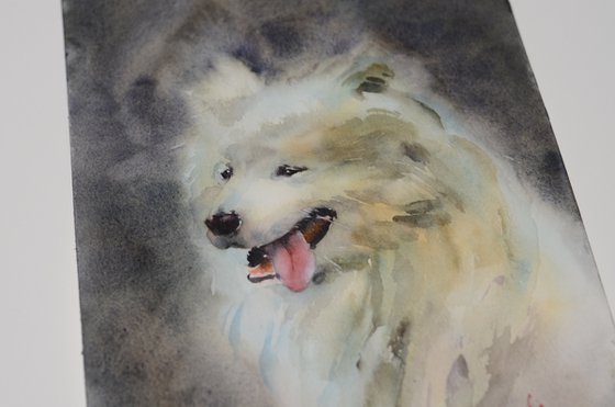 White Samoyed dog in watercolor