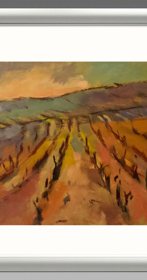 Vineyards by Andre Pallat