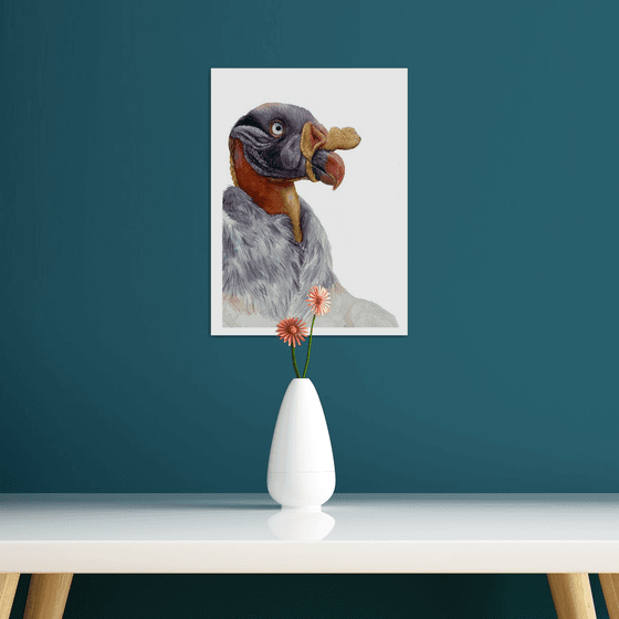 King Vulture, bird portrait