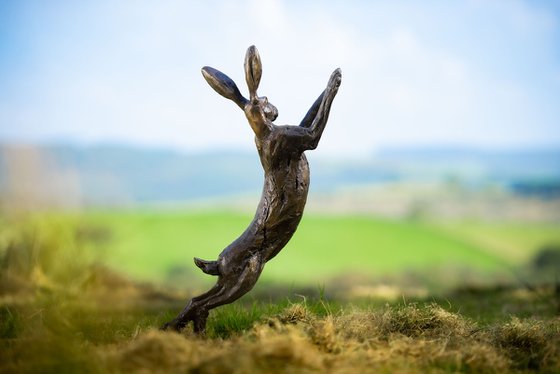 Spring Hare Foundry Bronze