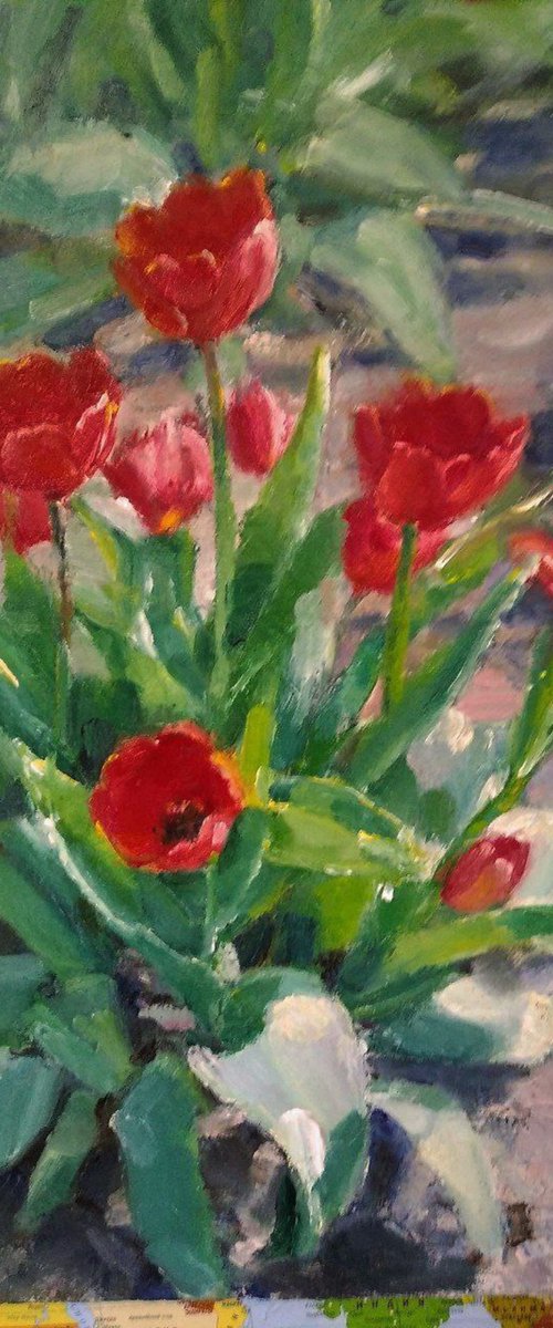 Tulips by Valentina Andrukhova