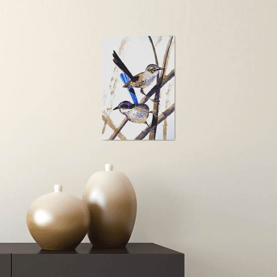 Pair Purple-crowed Fairy-wrens