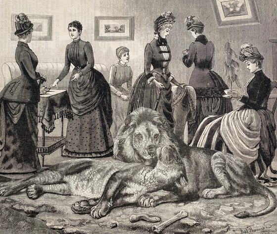 Mary and her lions