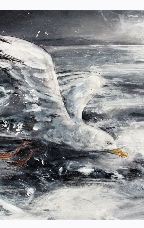 Gull, Morcambe Bay by John Sharp