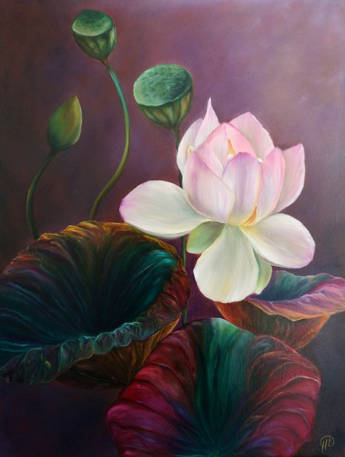 Lotus Magic, Lotus painting, lotus painting, lotus in oil, white lotus, lotus with leaves, oil painting, original gift, home decor, Flowering, Spring, Leaves, Living Room, leaves,  flower picture, petals,  delicate flowers, painting with white flowers by Natalie Demina