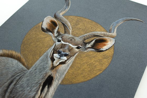 Original pastel drawing "Greater kudu"