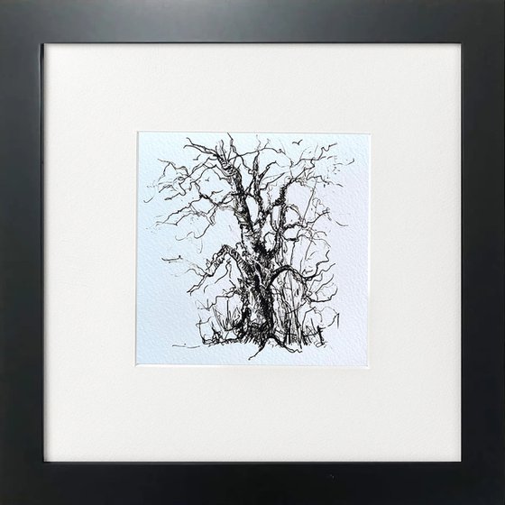 Monochrome - One Tree framed