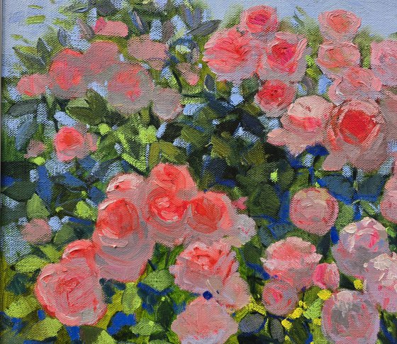 Roses in Bloom