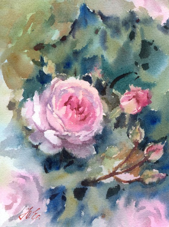 Watercolor English roses, Pink flowers on green