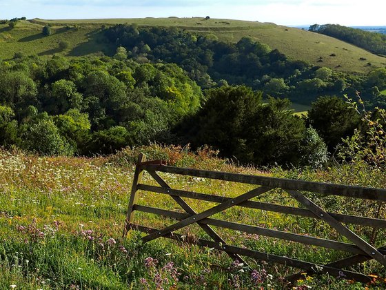 Summer on Old Winchester Hill