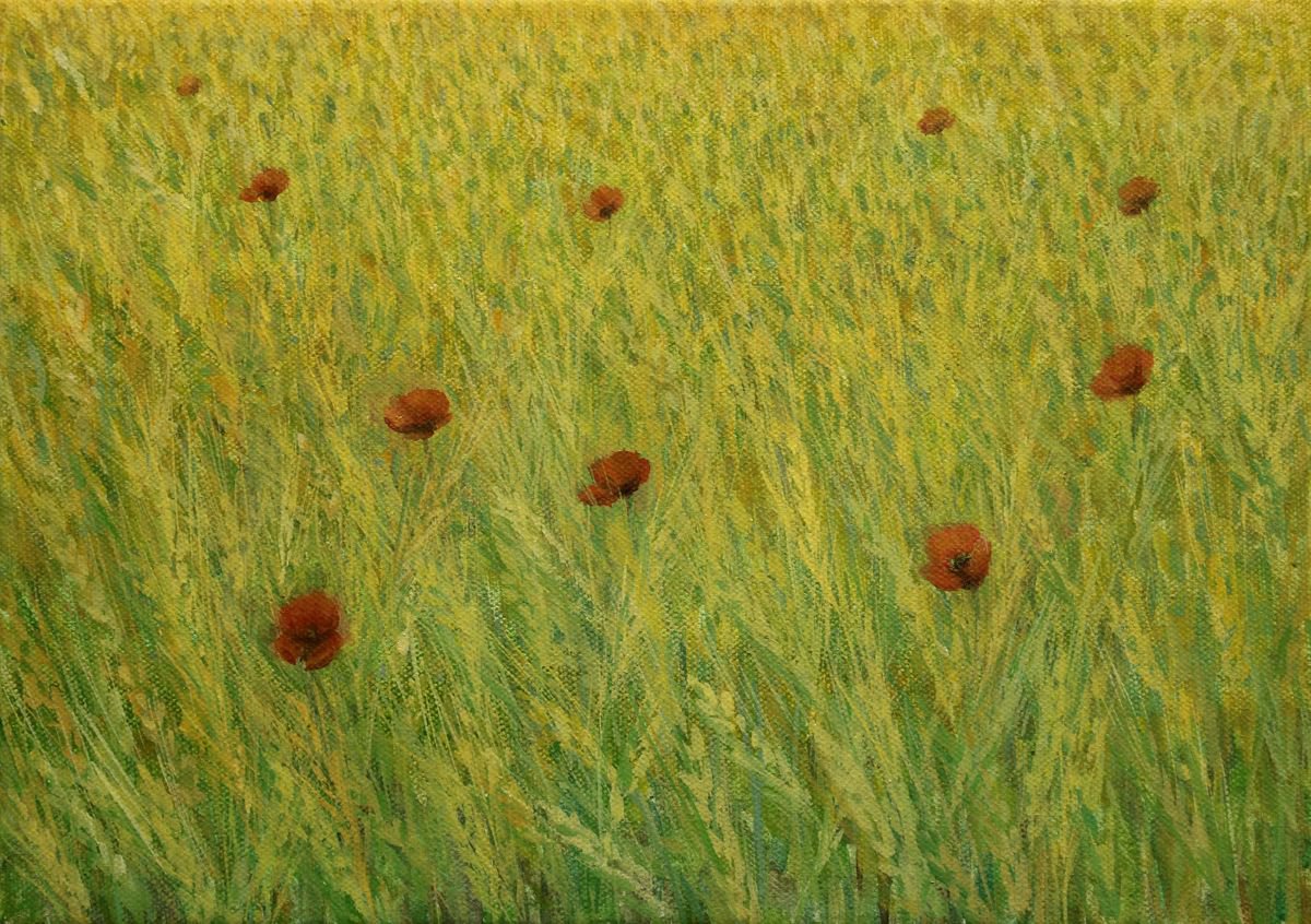 Maki v sitnem polju II - Poppies in the Cereal Field II, 2019, acrylic on canvas, 25 x 35... by Alenka Koderman