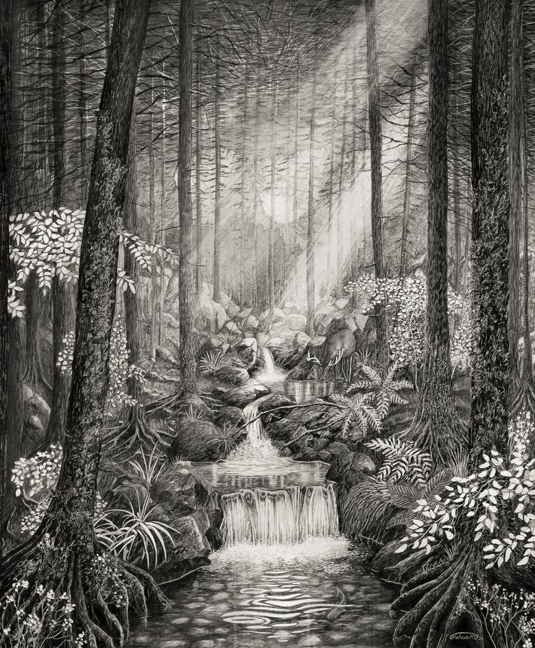 Forest Murmurs Ink Drawing By Graham Mckenzie-smith 