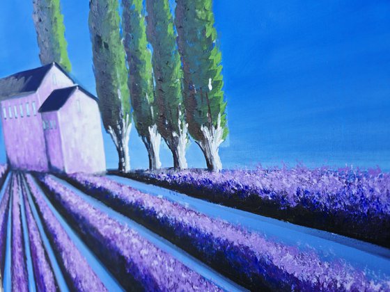 The simmetry of Provence X