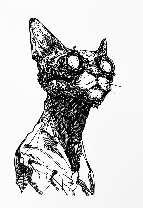 Goggle Cat