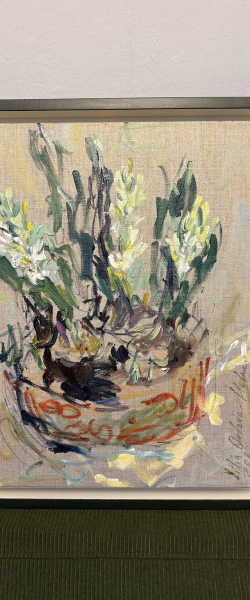 White hyacinthis by Lilia Orlova-Holmes