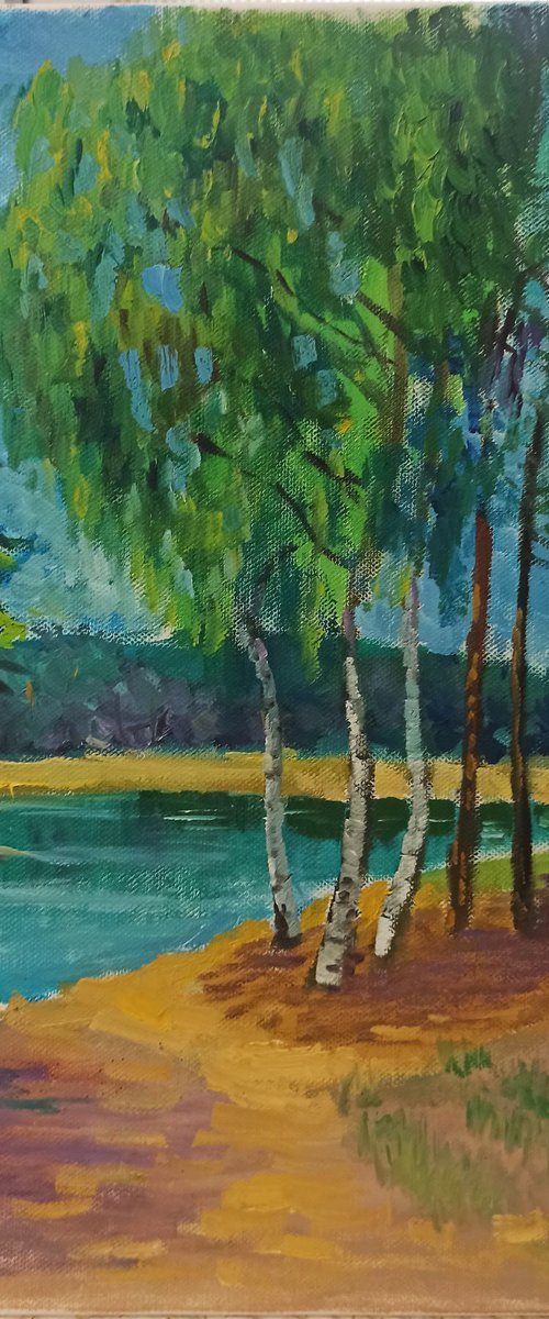 Birches by the lake. Pleinair by Dmitry Fedorov