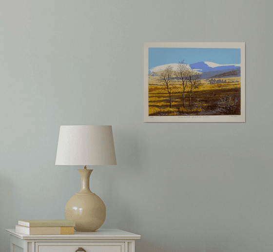 Winter Sunlight, Glen of Imaal