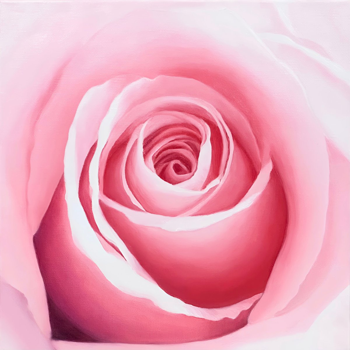 Photorealistic Botanical Oil Painting By Alla Kallass, 12 X 12, Pure Joy. Pink Rose, Original Artwork