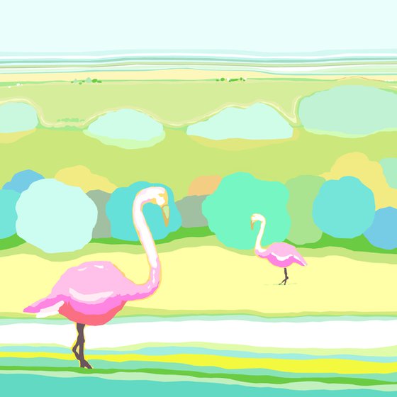 Flamingos