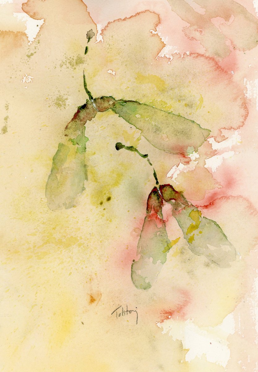 Impressionistic Botanical Watercolour By Alex Tolstoy, 10 X 14, Helicopter Seeds, Original Artwork