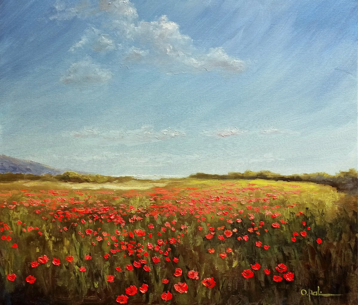 Impressionistic Landscape Oil Painting By Oleh Rak, 28 X 24", Poppies Near The Sea, Original Artwork