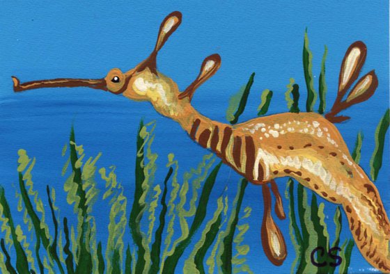 ACEO ATC Original Miniature Painting Weedy Sea Dragon Fish Wildlife Art-Carla Smale
